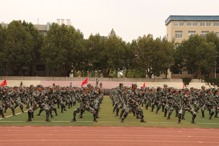图片7.png